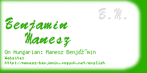 benjamin manesz business card